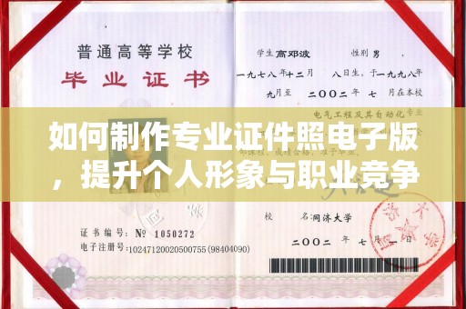 甘德如何制作专业证件照电子版，提升个人形象与职业竞争力